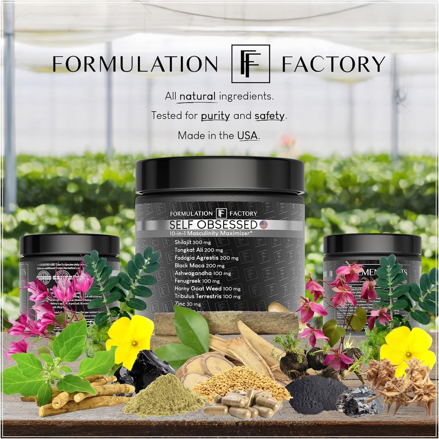 Formulation Factory Self Obsessed 10 in 1 Masculinity Maximizer Supplement, Shilajit for Men, Tongkat Ali, Ashwaganda, Fenugreek Muscle Growth, Energy, Drive, Strength, Recovery 2 Month (Pack of 1)