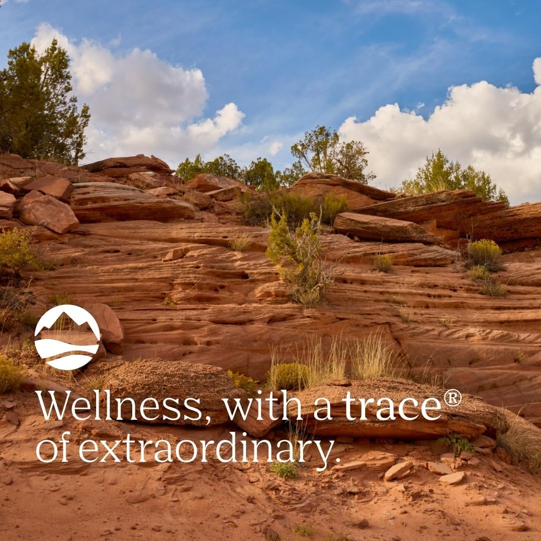 Trace Minerals | Stress-X Magnesium Powder | Stress Relief, Regularity, Relax, Sleep, Energy, Relaxes Muscles, Cell Function | Non-GMO, Gluten Free, and Certified Vegan | Raspberry Lemon Flavor|8.5 oz