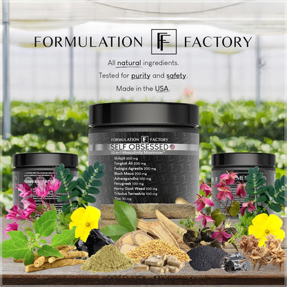 Formulation Factory Self Obsessed 10 in 1 Masculinity Maximizer Supplement, Shilajit for Men, Tongkat Ali, Ashwaganda, Fenugreek Muscle Growth, Energy, Drive, Strength, Recovery 2 Month (Pack of 1)
