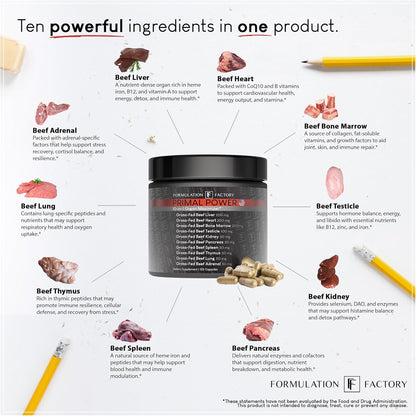 Formulation Factory Primal Power 10-in-1 Grass-Fed Organ Supplement with Beef Liver, Heart, Marrow, Testicle, Kidney, Supports Vitality, Hormones, Energy, Immunity (2 Month Supply, 120 Capsules)